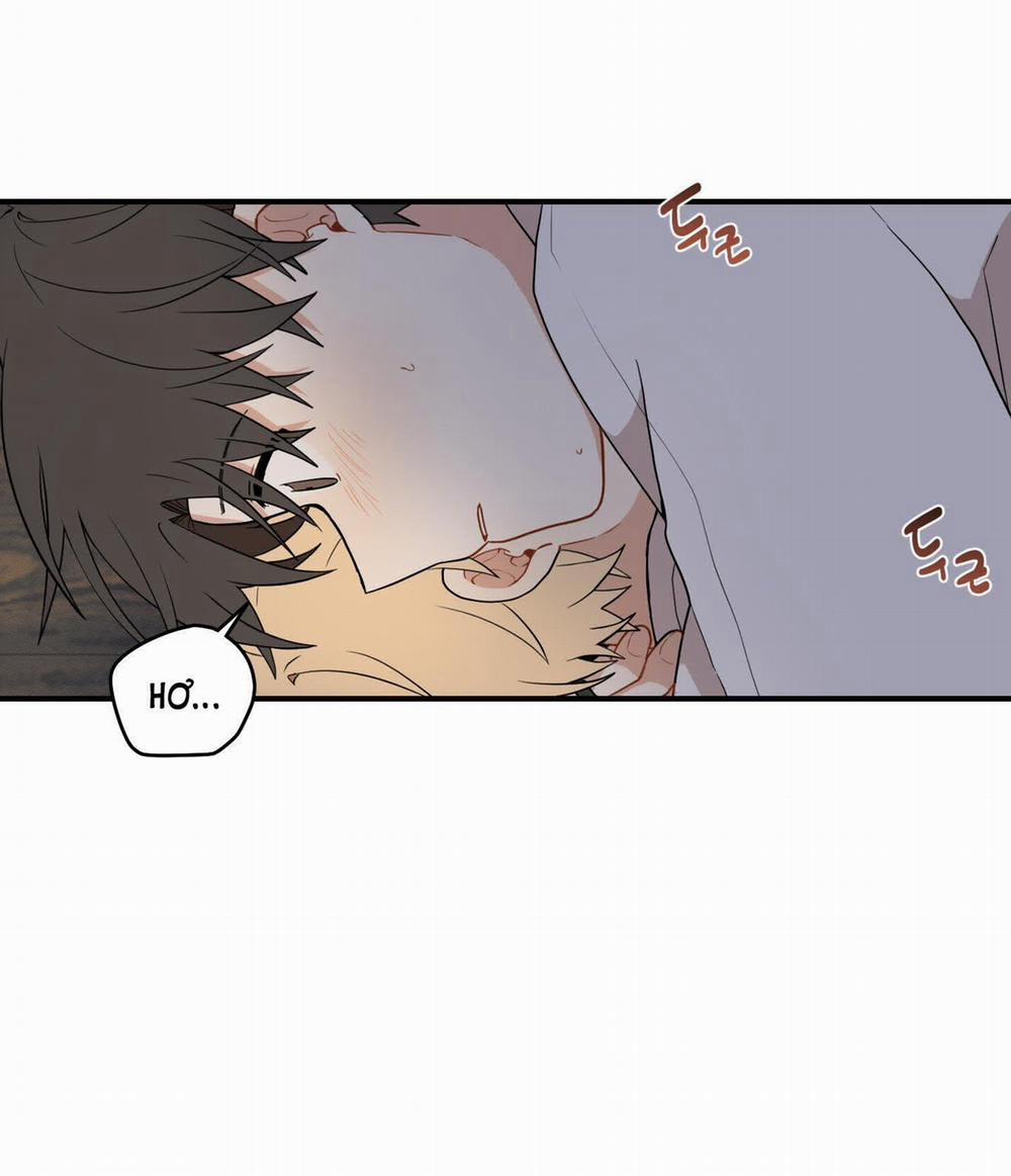 Dưới Tán Hoa Liên Kiều 31.2 trang 16