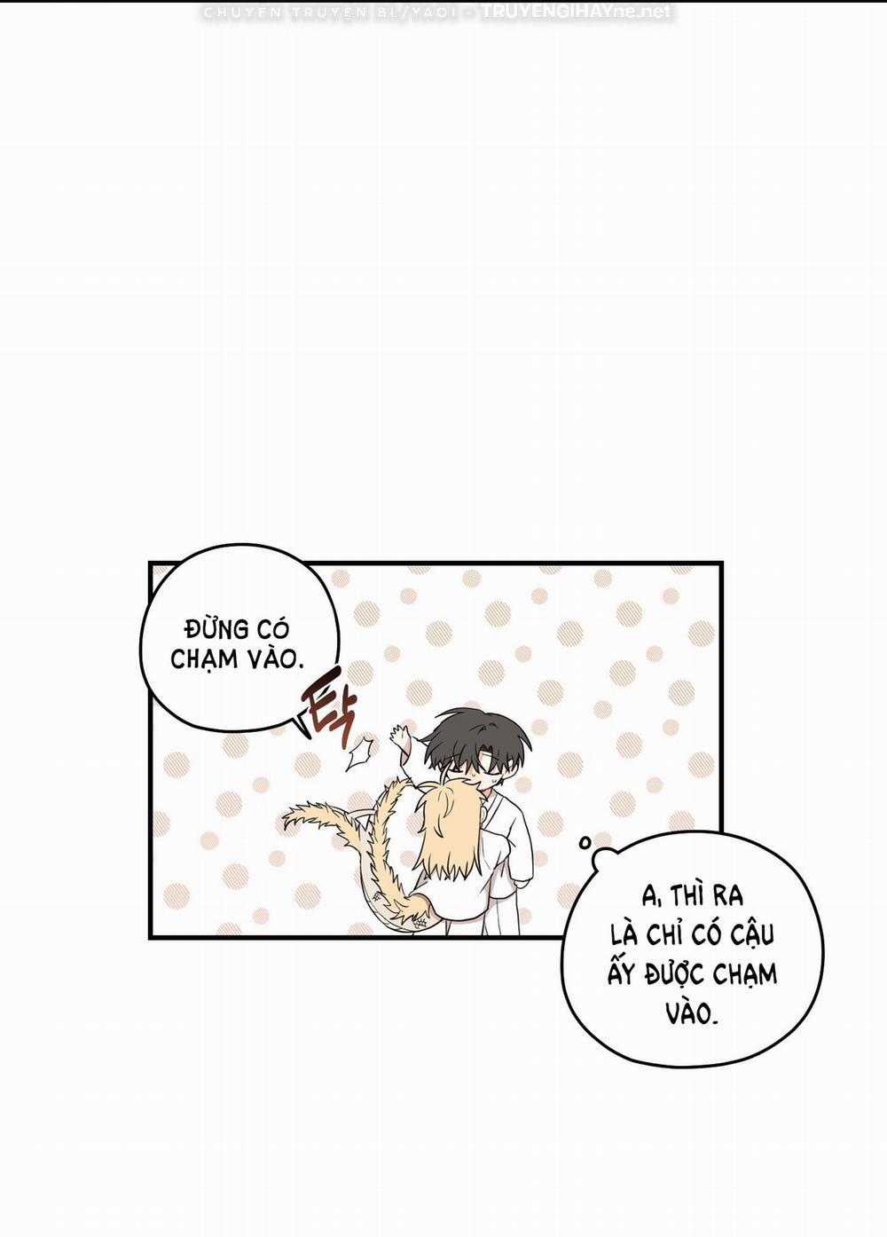 Dưới Tán Hoa Liên Kiều 31.2 trang 32