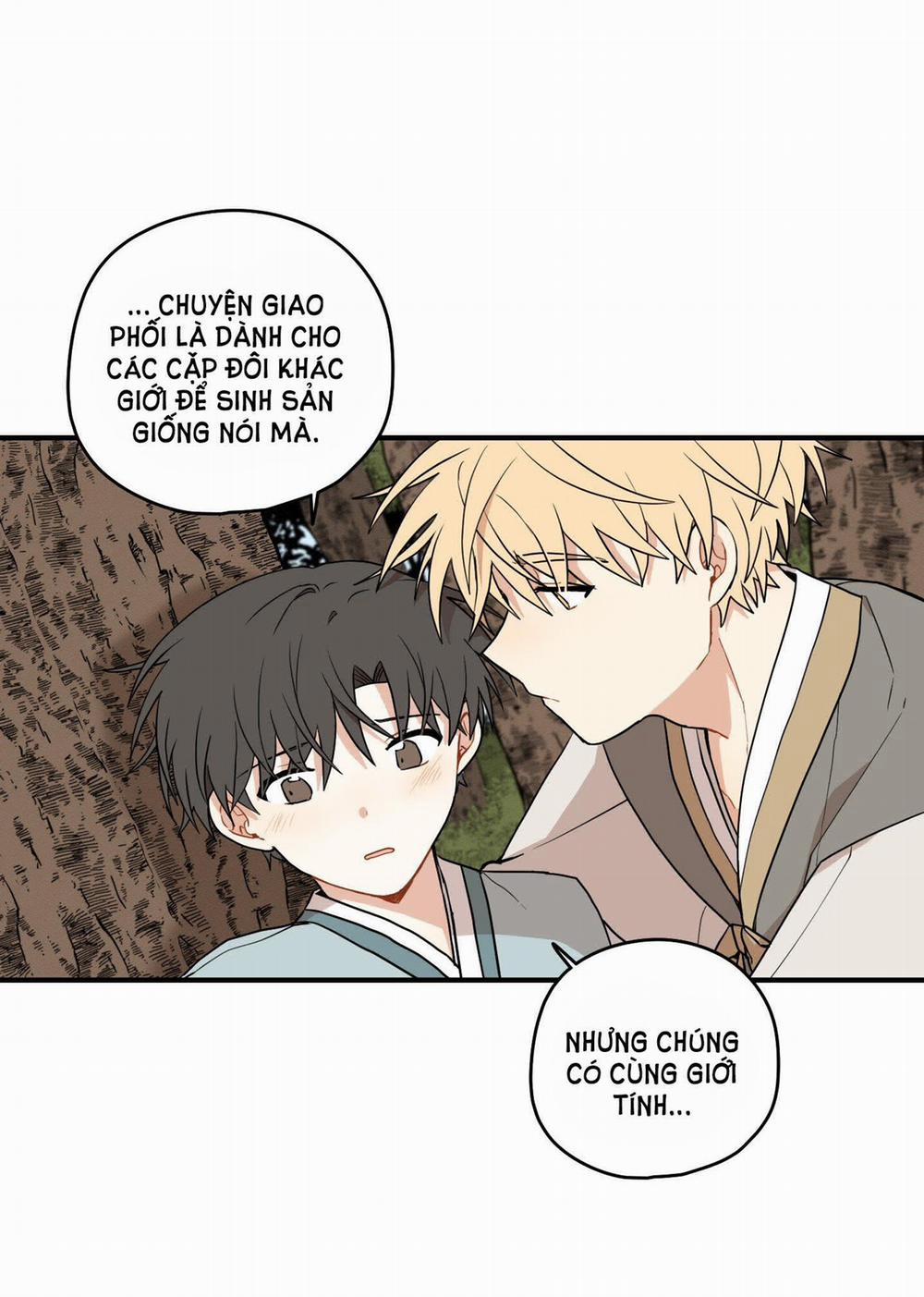 Dưới Tán Hoa Liên Kiều 33.1 trang 15