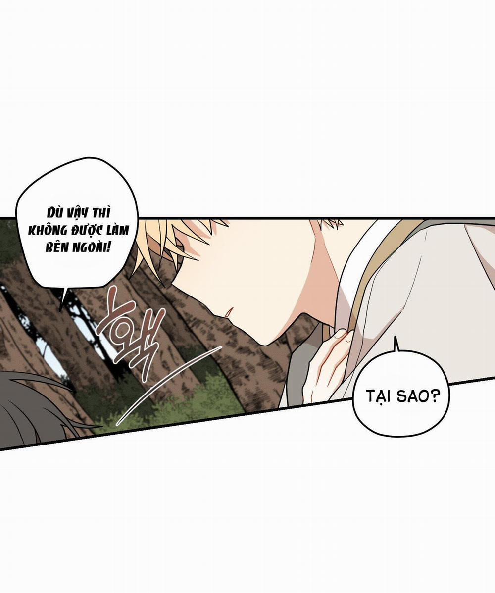 Dưới Tán Hoa Liên Kiều 33.1 trang 19