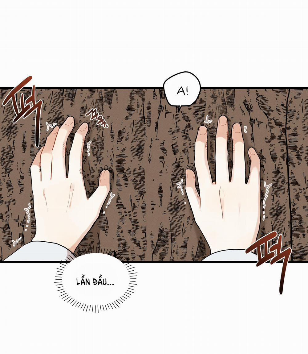 Dưới Tán Hoa Liên Kiều 33.2 trang 12