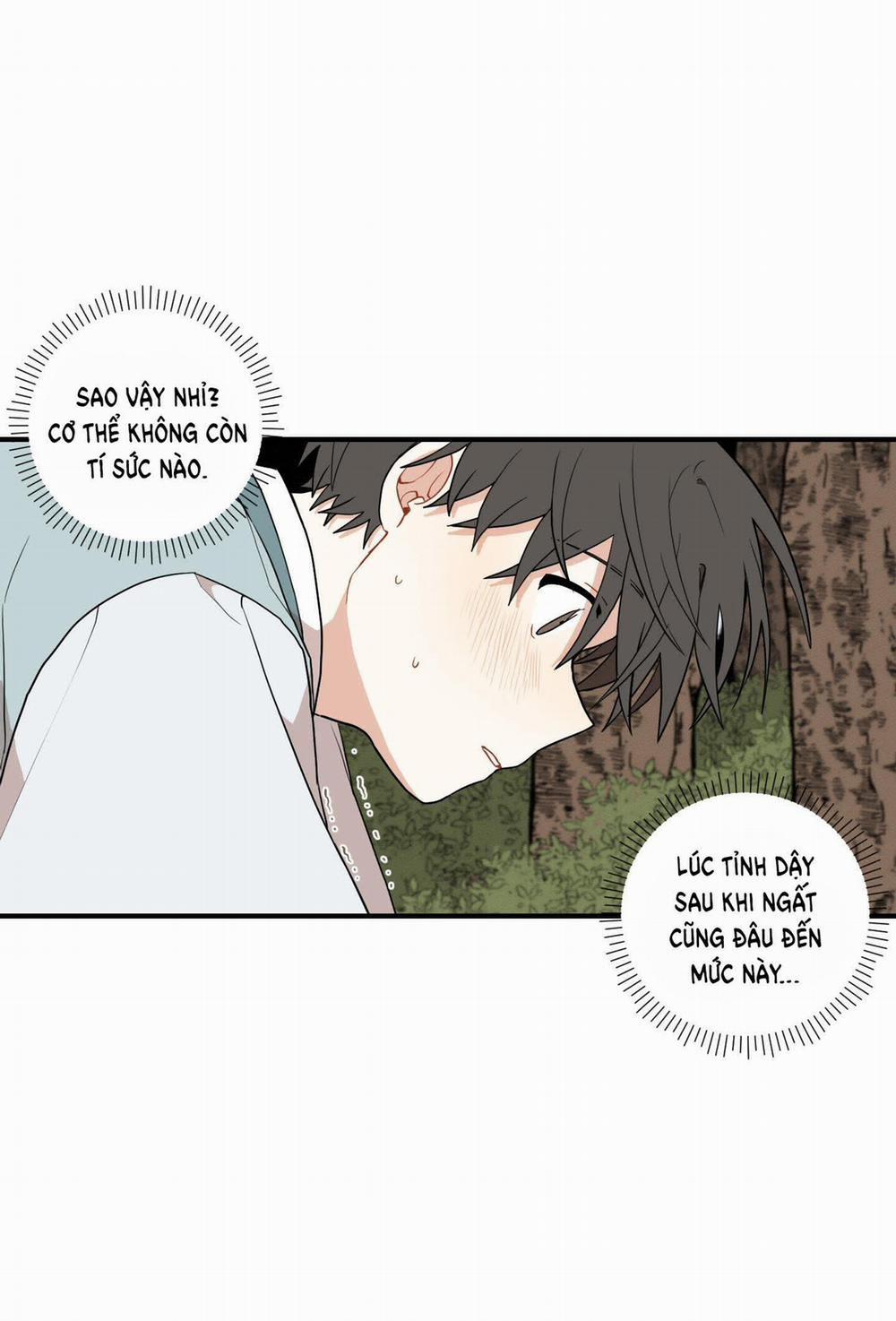 Dưới Tán Hoa Liên Kiều 33.2 trang 37