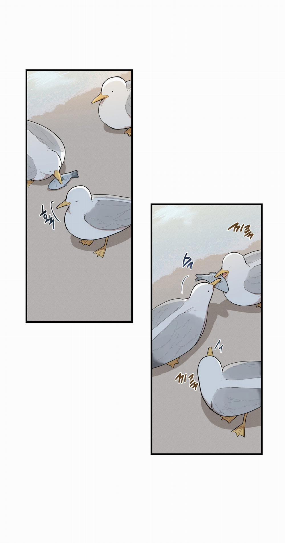 Dưới Tán Hoa Liên Kiều 35.1 trang 5