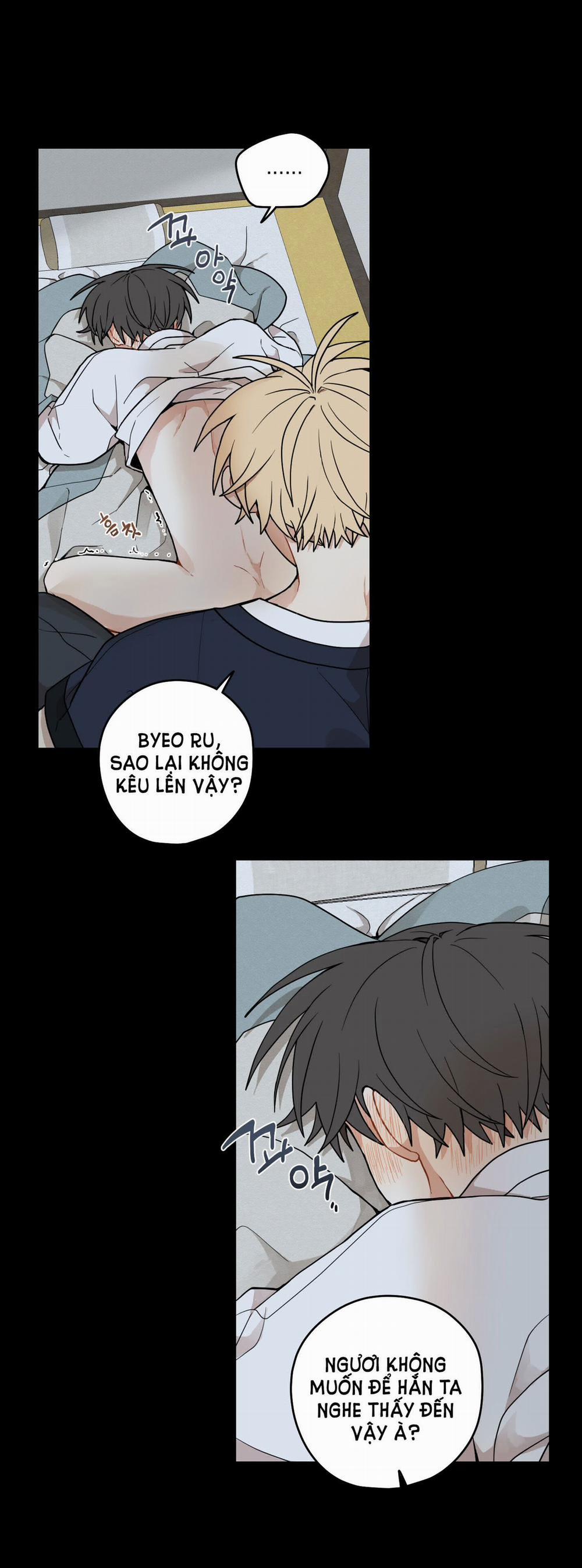 Dưới Tán Hoa Liên Kiều 38.1 trang 19