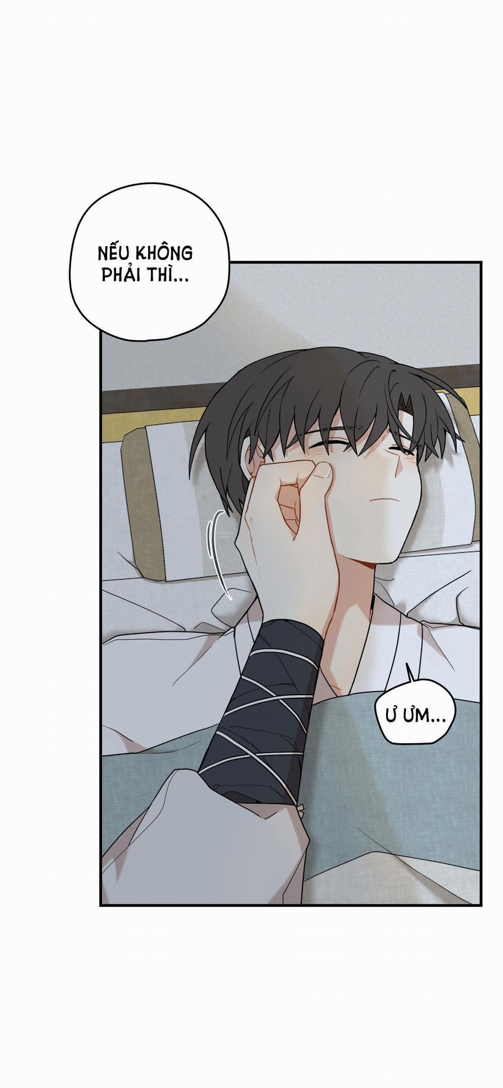 Dưới Tán Hoa Liên Kiều 38.1 trang 4