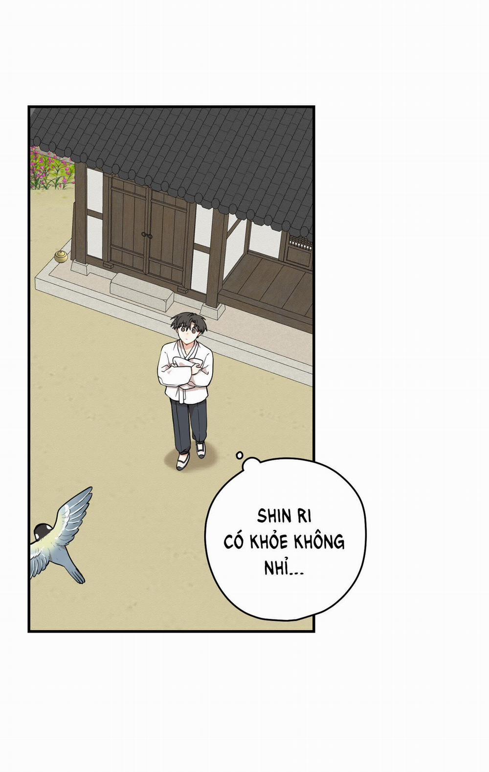 Dưới Tán Hoa Liên Kiều 39.2 trang 20