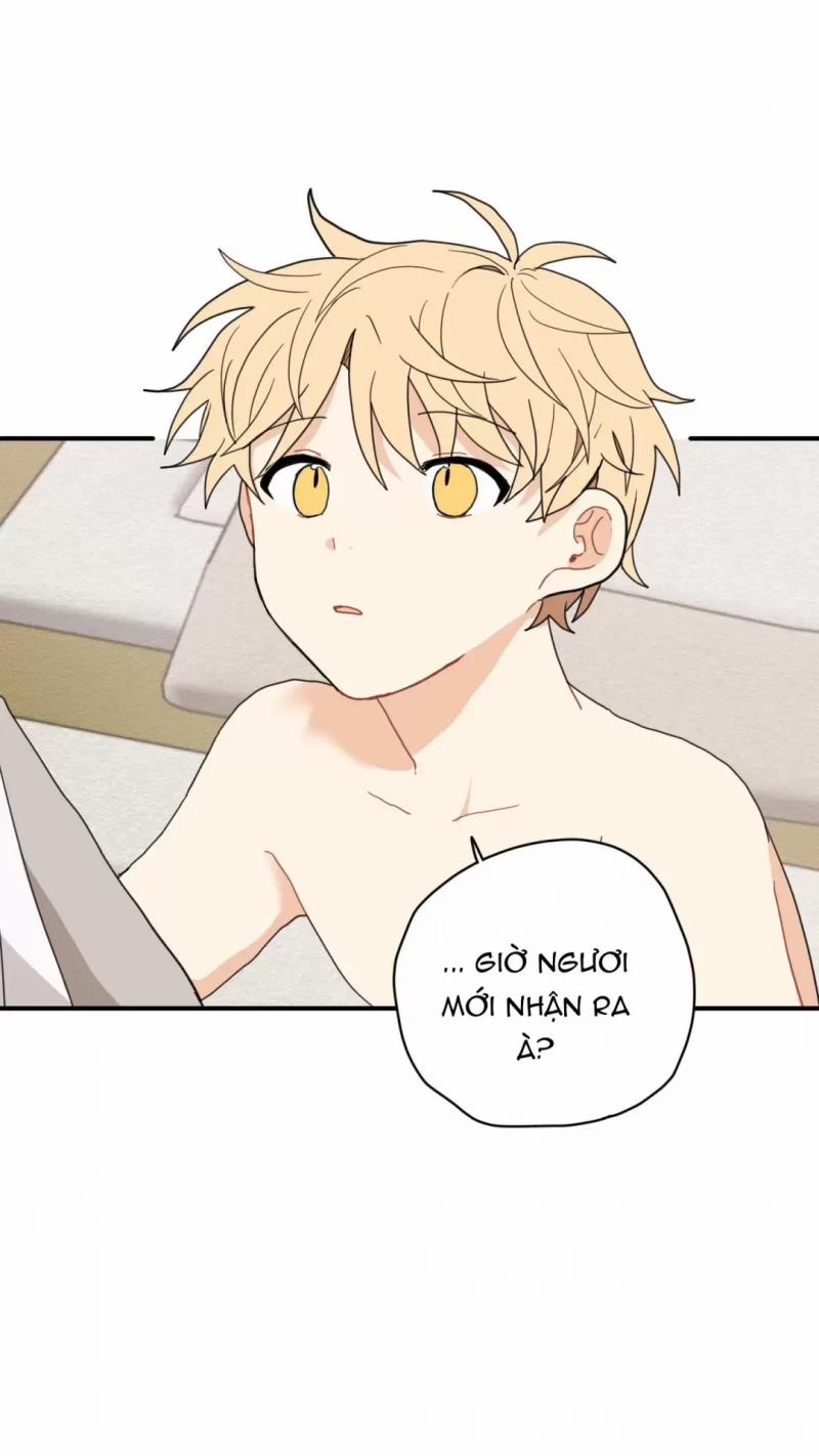 Dưới Tán Hoa Liên Kiều 4.5 trang 18