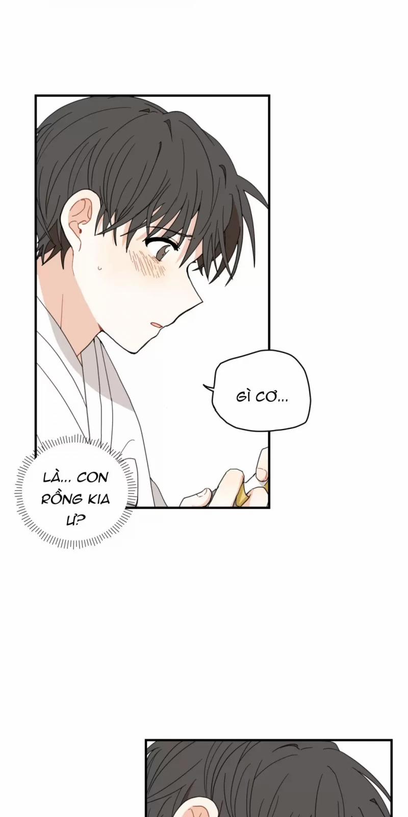 Dưới Tán Hoa Liên Kiều 4.5 trang 19