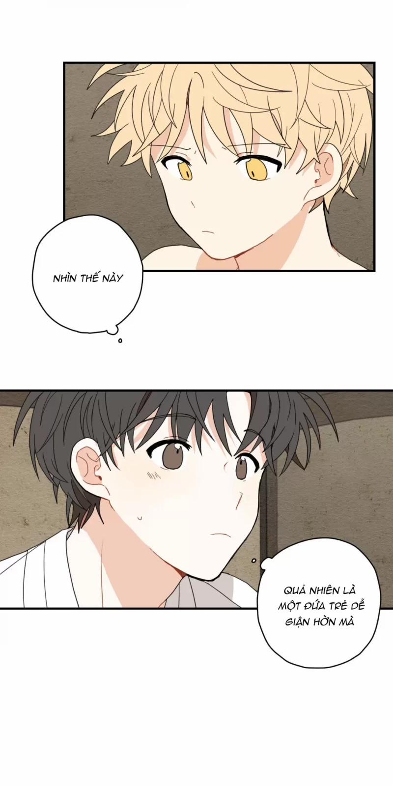 Dưới Tán Hoa Liên Kiều 4.5 trang 25