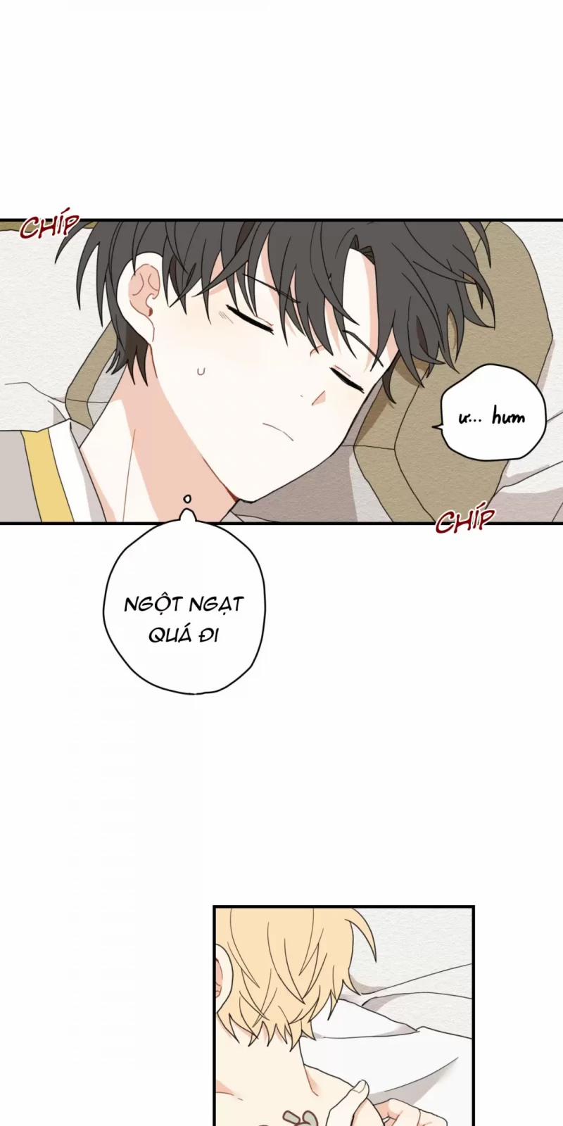 Dưới Tán Hoa Liên Kiều 4 trang 15