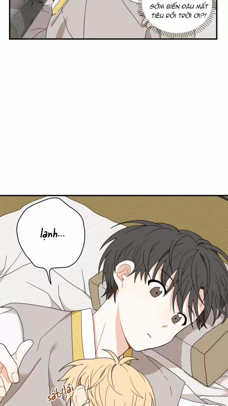 Dưới Tán Hoa Liên Kiều 4 trang 19