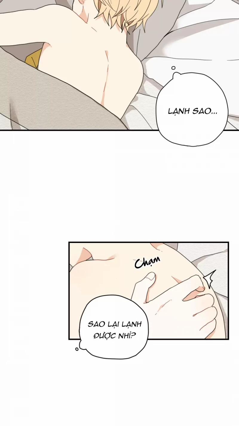 Dưới Tán Hoa Liên Kiều 4 trang 20