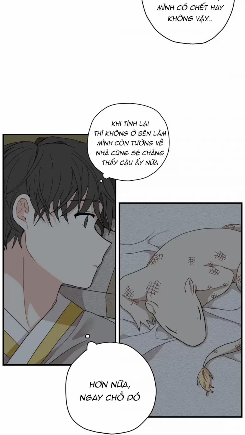 Dưới Tán Hoa Liên Kiều 4 trang 8