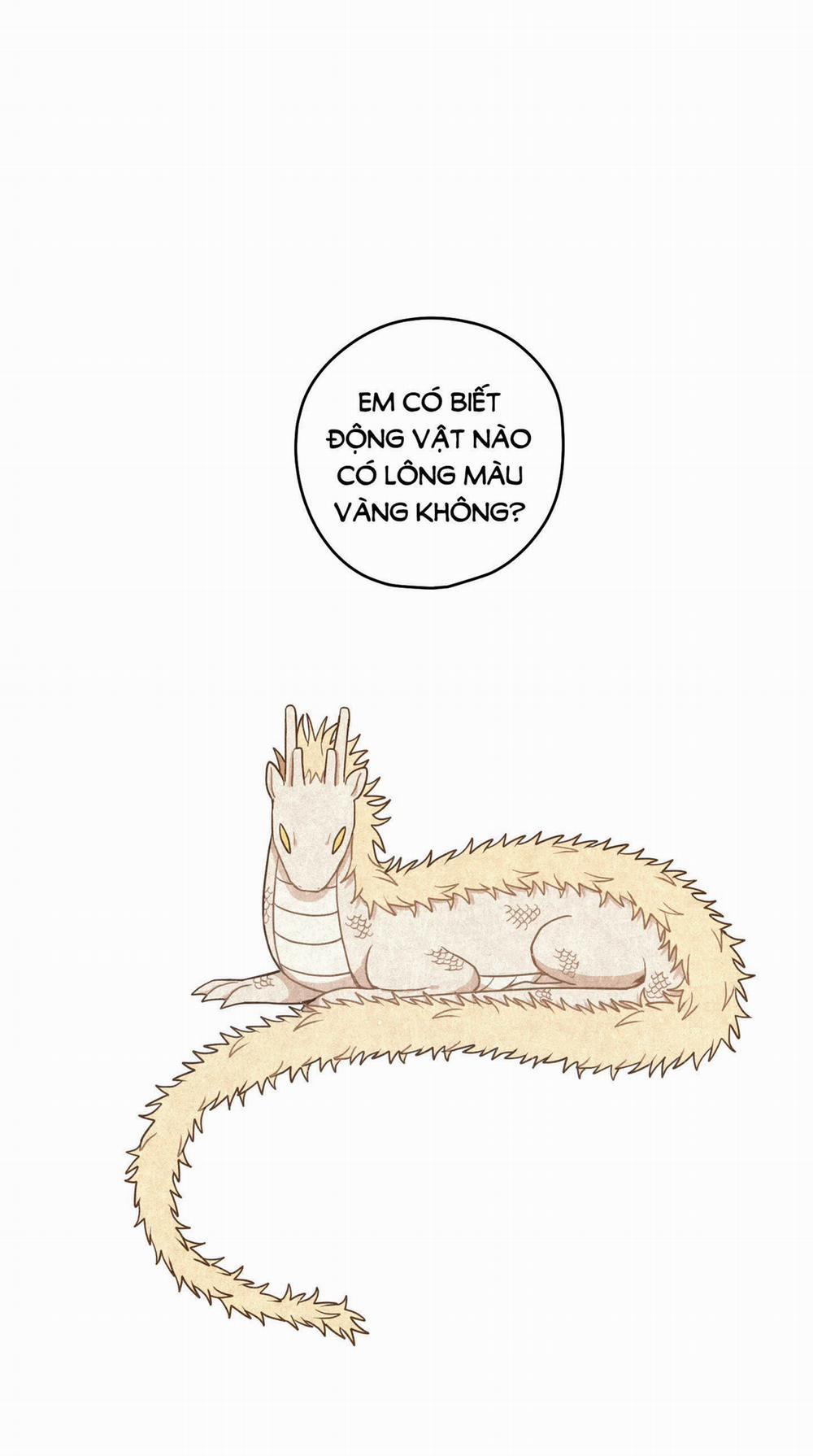 Dưới Tán Hoa Liên Kiều 40.1 trang 18