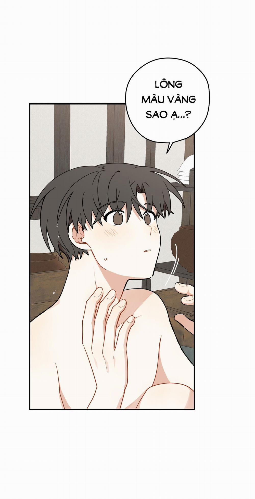 Dưới Tán Hoa Liên Kiều 40.1 trang 19