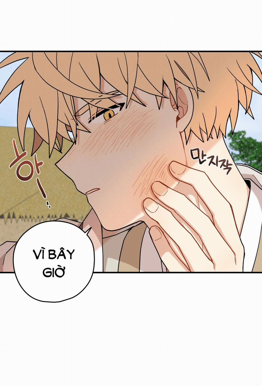 Dưới Tán Hoa Liên Kiều 43.1 trang 4