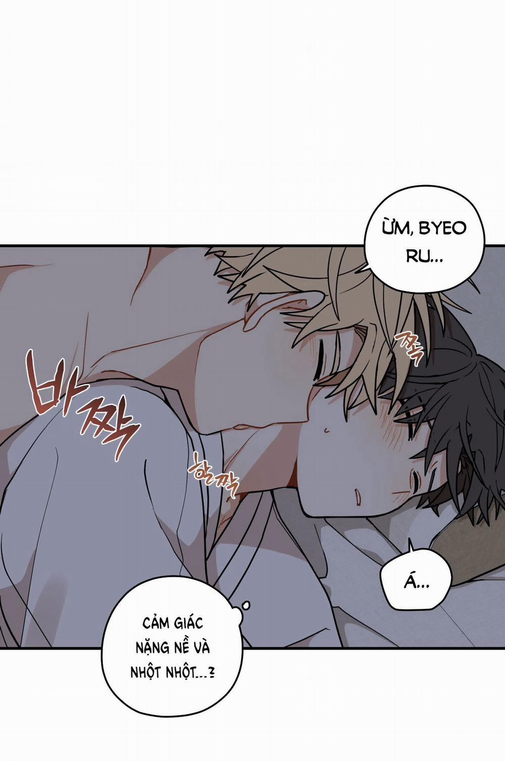 Dưới Tán Hoa Liên Kiều 43.2 trang 28