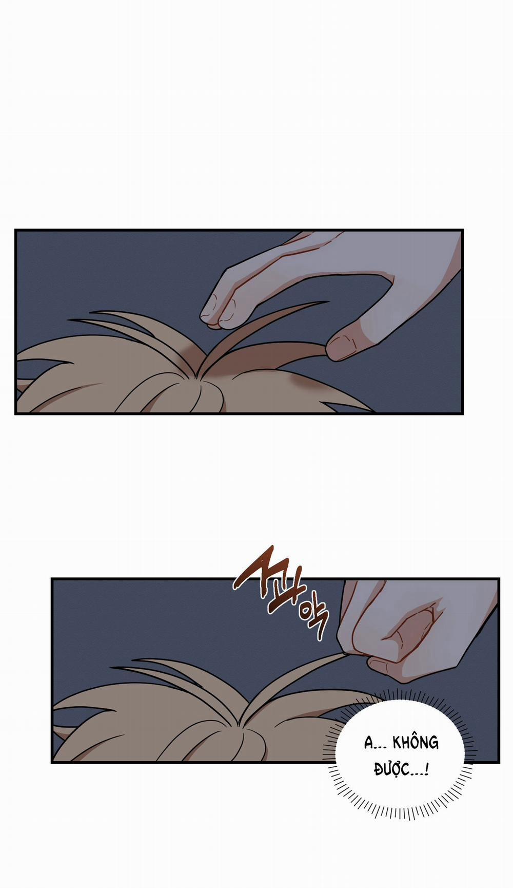 Dưới Tán Hoa Liên Kiều 43.2 trang 33