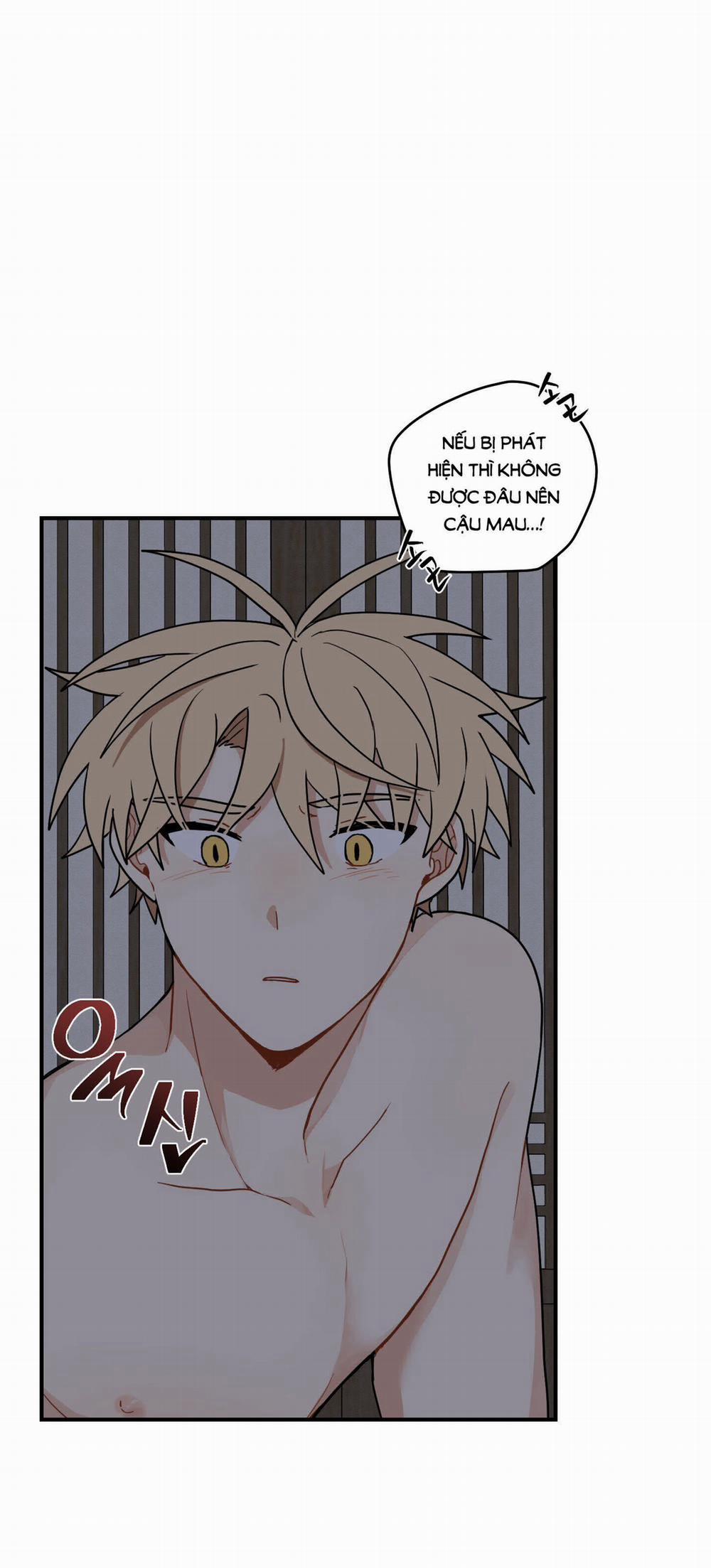 Dưới Tán Hoa Liên Kiều 43.2 trang 41