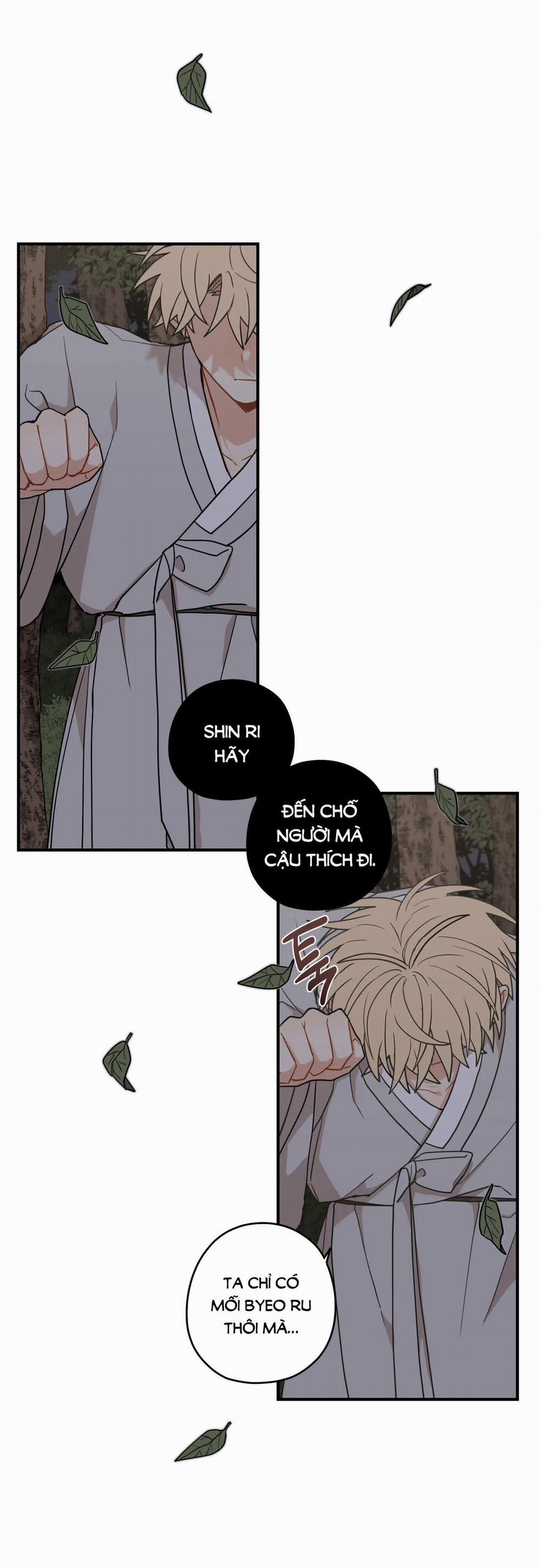 Dưới Tán Hoa Liên Kiều 44.1 trang 5