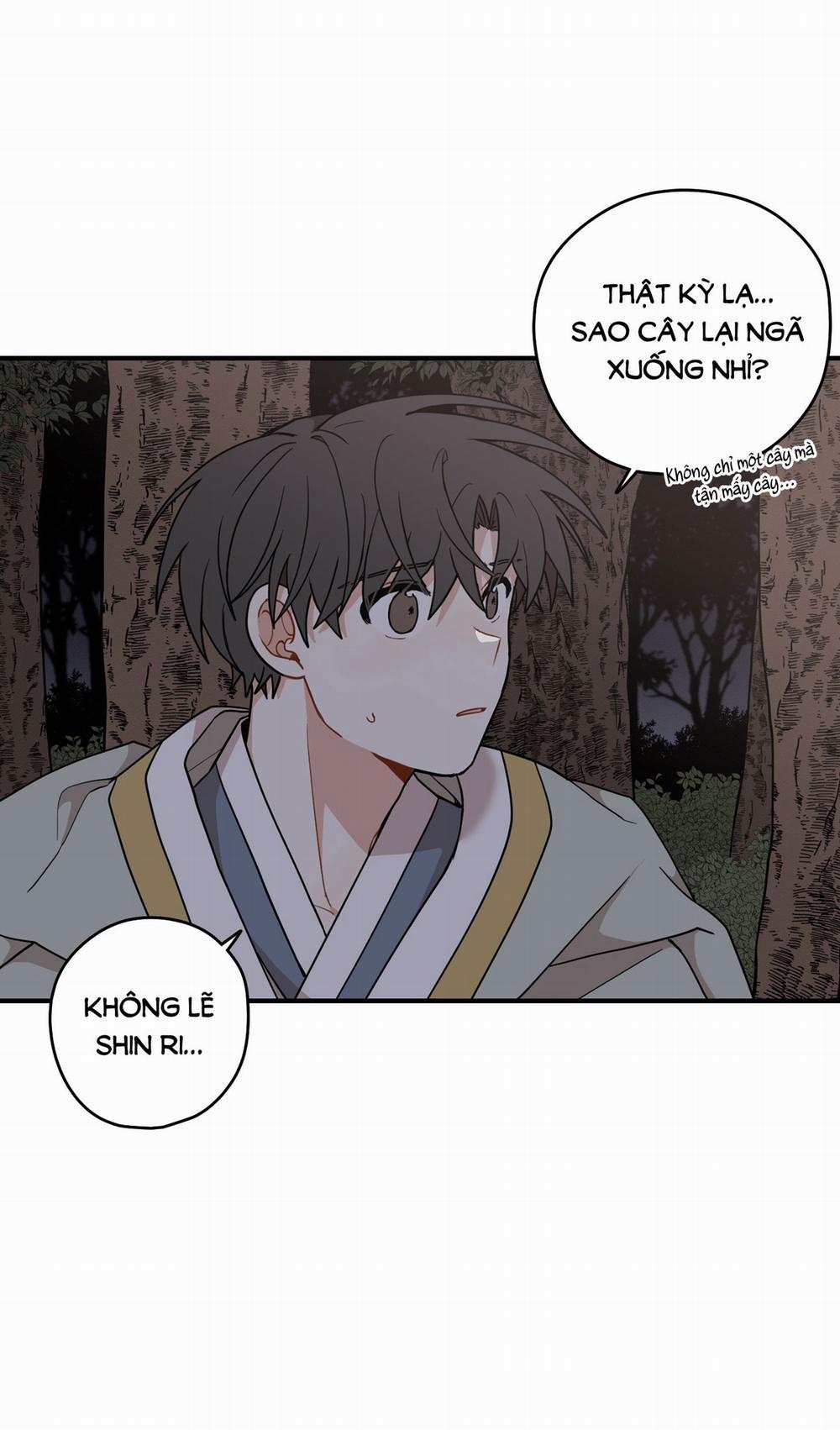 Dưới Tán Hoa Liên Kiều 46.2 trang 11