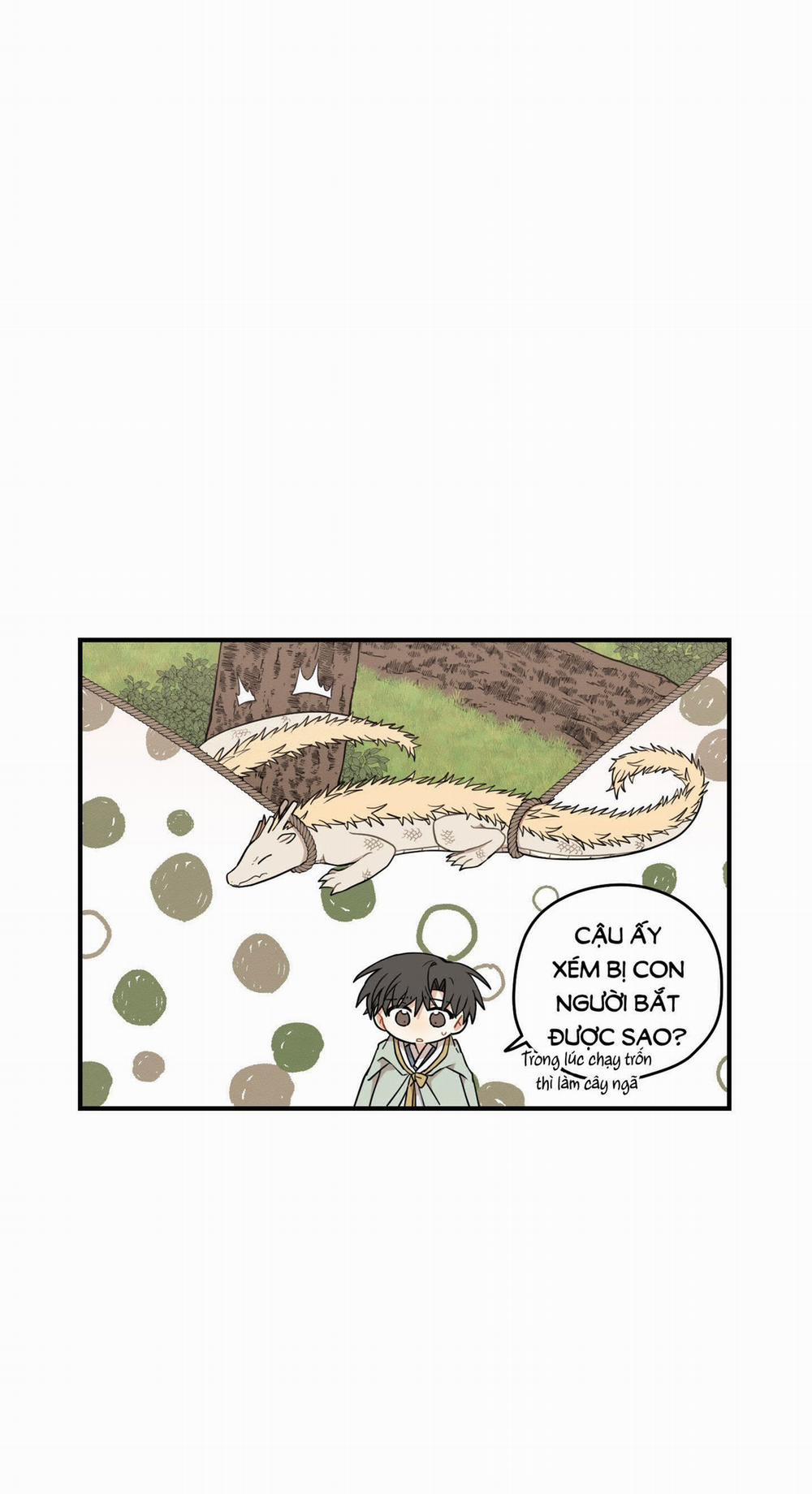 Dưới Tán Hoa Liên Kiều 46.2 trang 12