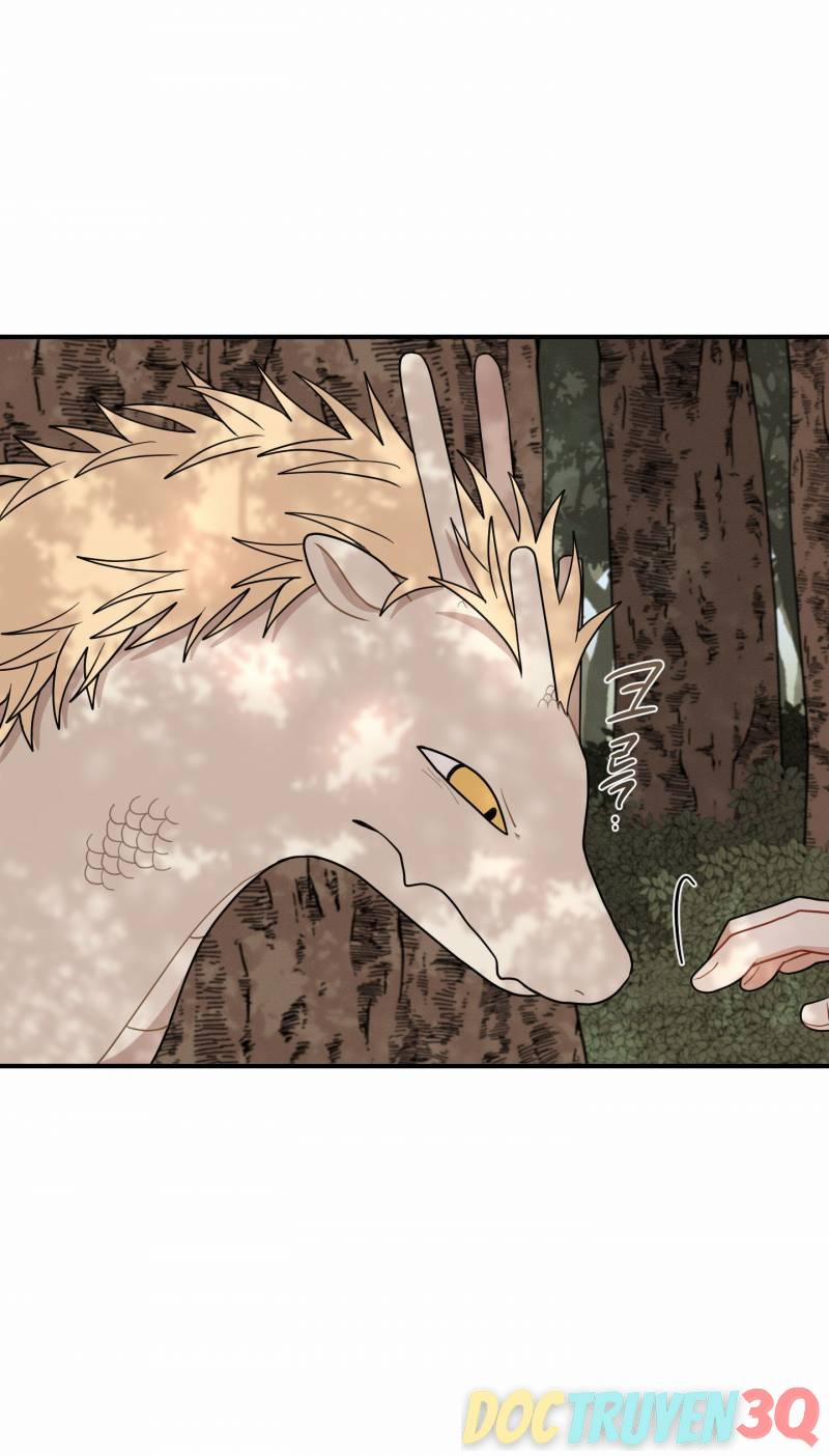 Dưới Tán Hoa Liên Kiều 47 trang 18