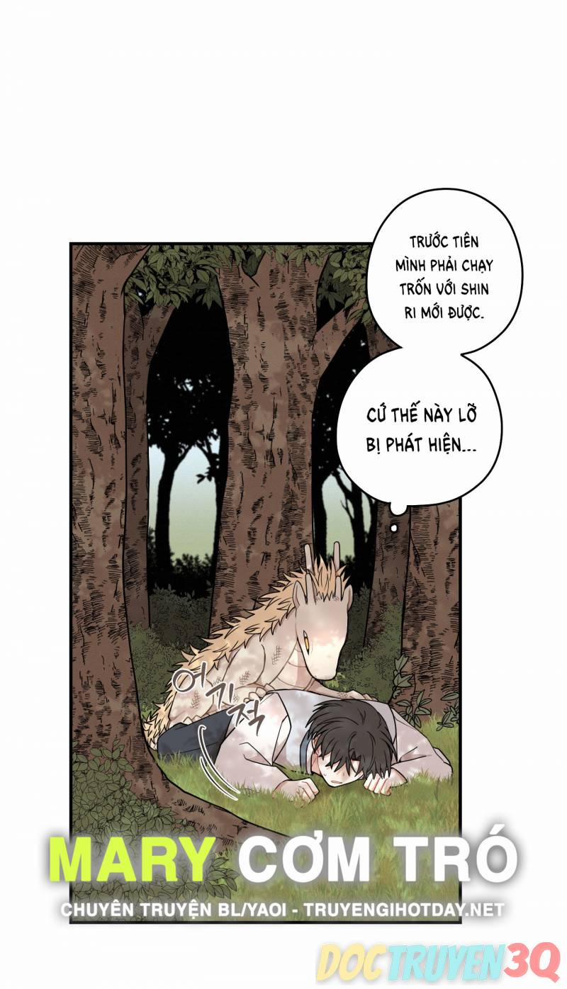 Dưới Tán Hoa Liên Kiều 47 trang 3