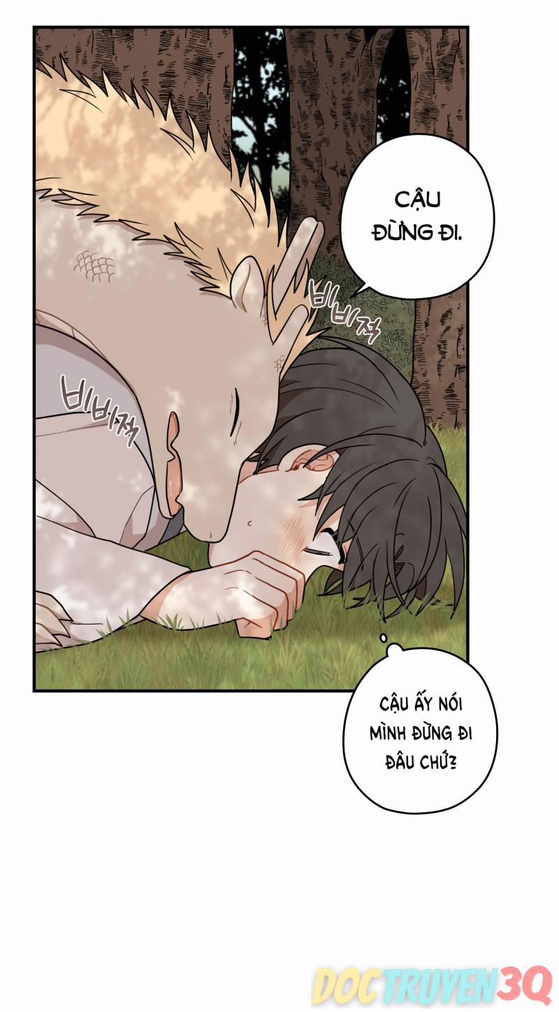 Dưới Tán Hoa Liên Kiều 47 trang 5