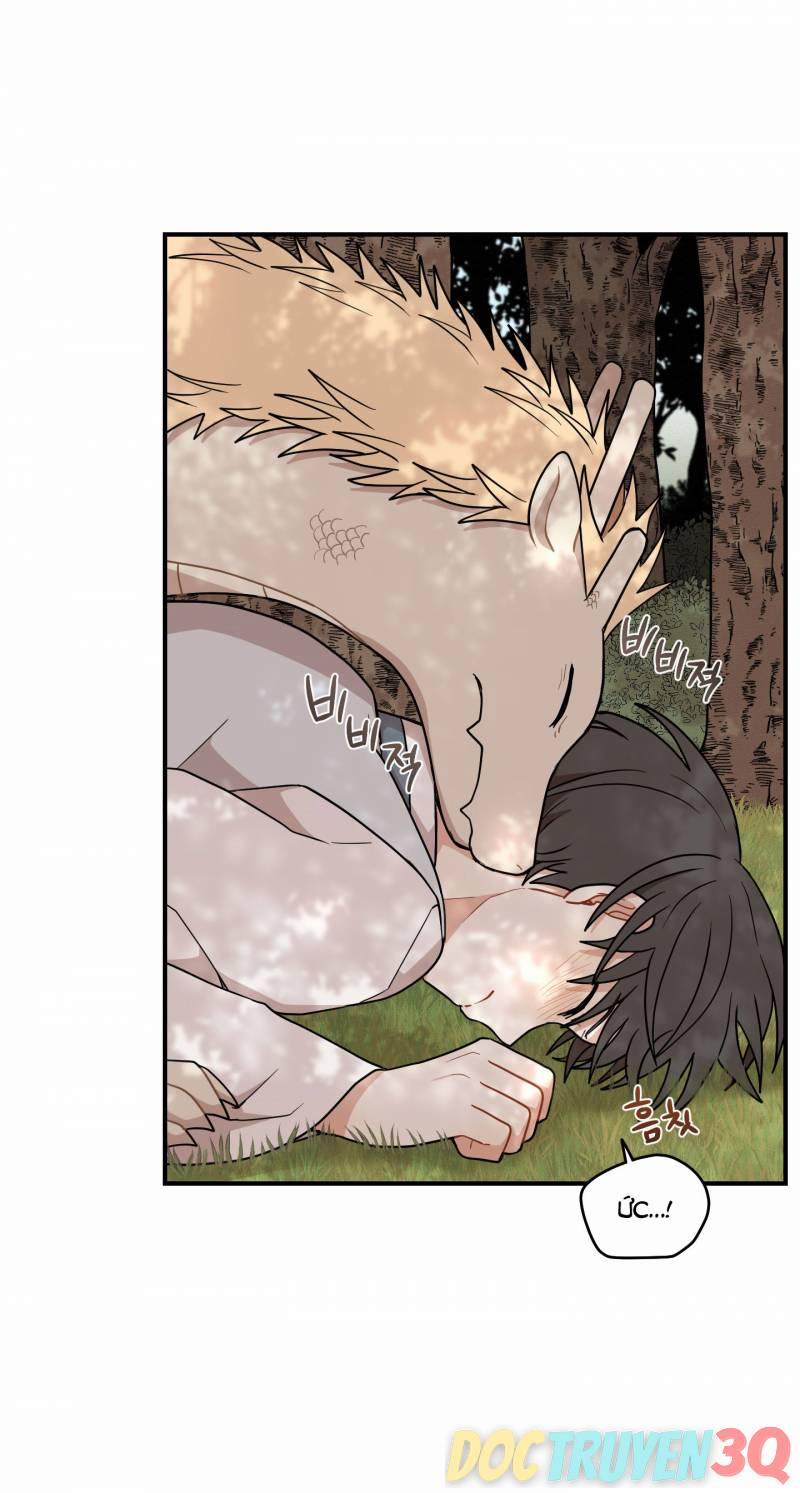 Dưới Tán Hoa Liên Kiều 47 trang 6