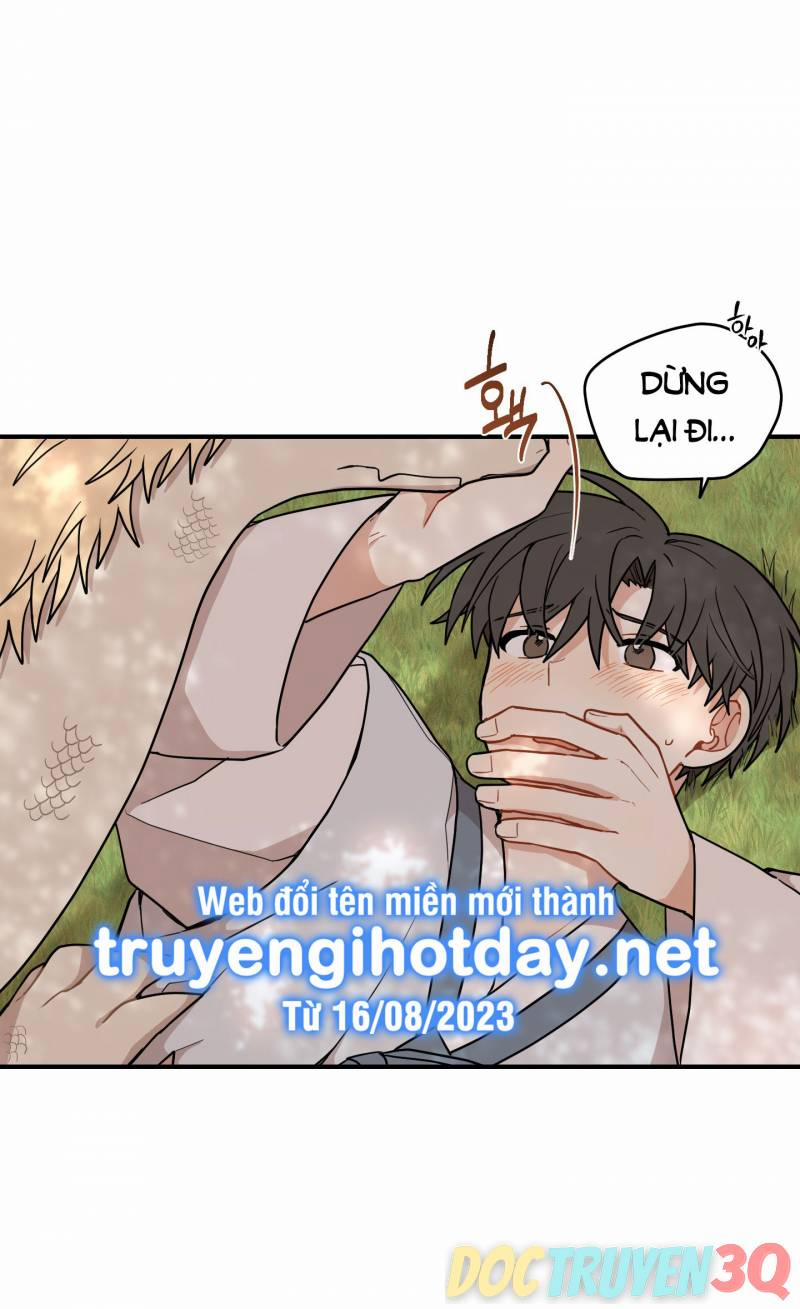 Dưới Tán Hoa Liên Kiều 47 trang 8