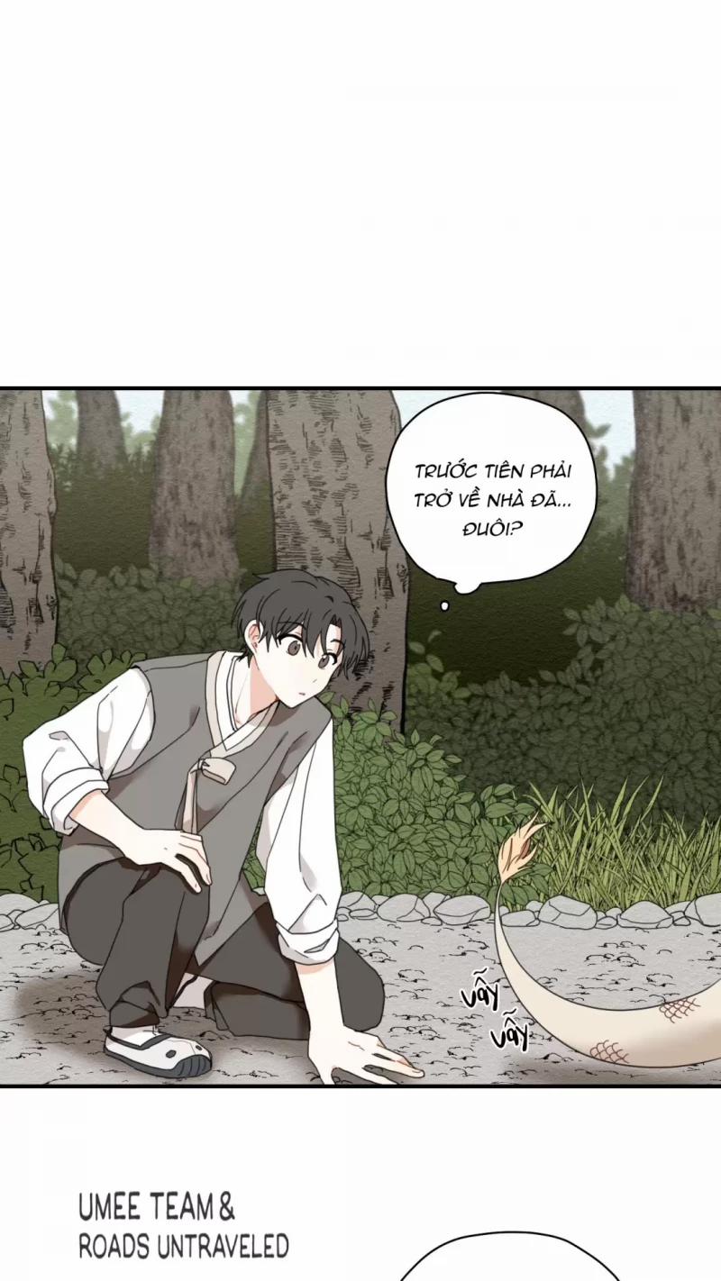 Dưới Tán Hoa Liên Kiều 5.5 trang 1