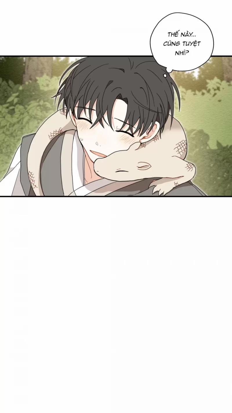 Dưới Tán Hoa Liên Kiều 5.5 trang 13