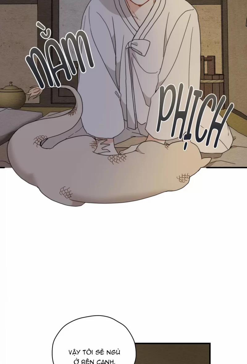 Dưới Tán Hoa Liên Kiều 5.5 trang 17