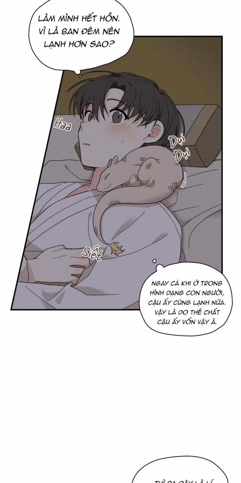 Dưới Tán Hoa Liên Kiều 5.5 trang 22