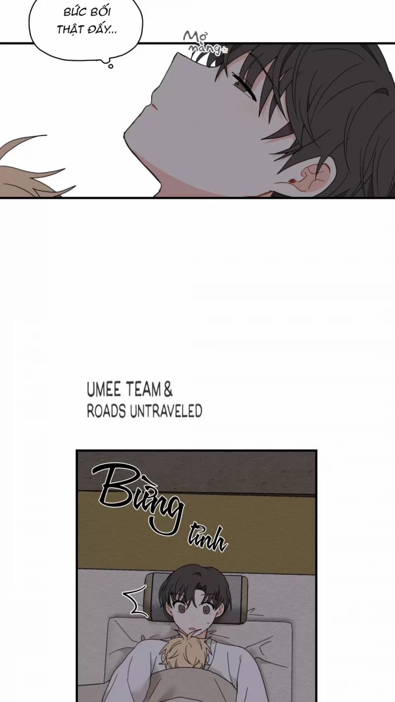 Dưới Tán Hoa Liên Kiều 5.5 trang 24