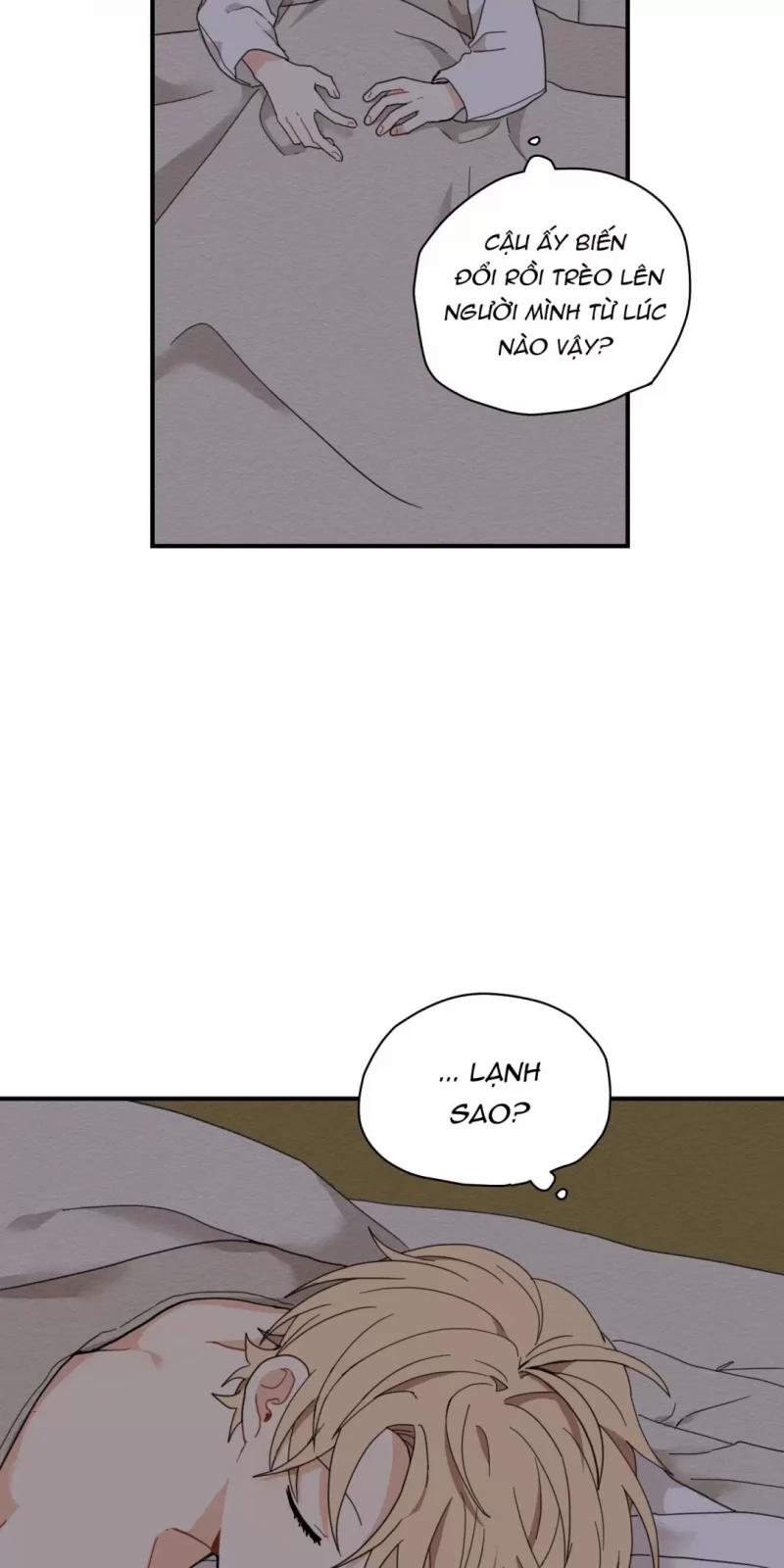 Dưới Tán Hoa Liên Kiều 5.5 trang 25