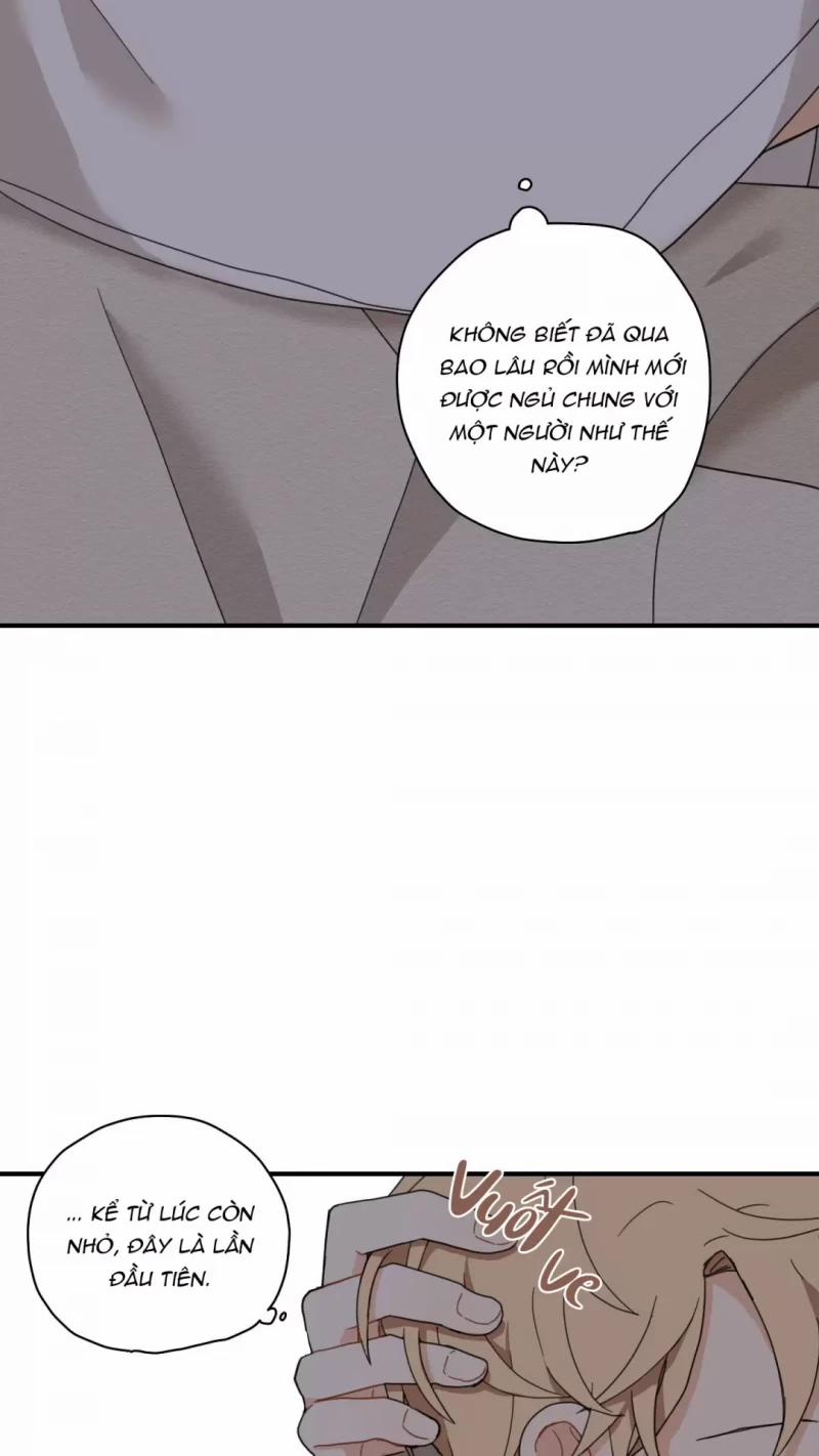 Dưới Tán Hoa Liên Kiều 5.5 trang 32