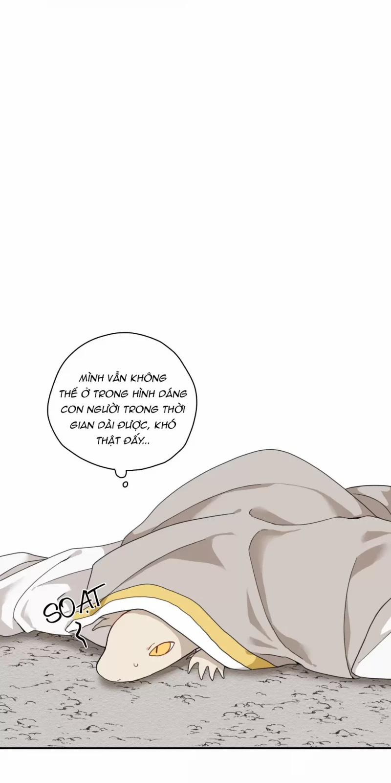 Dưới Tán Hoa Liên Kiều 5.5 trang 6