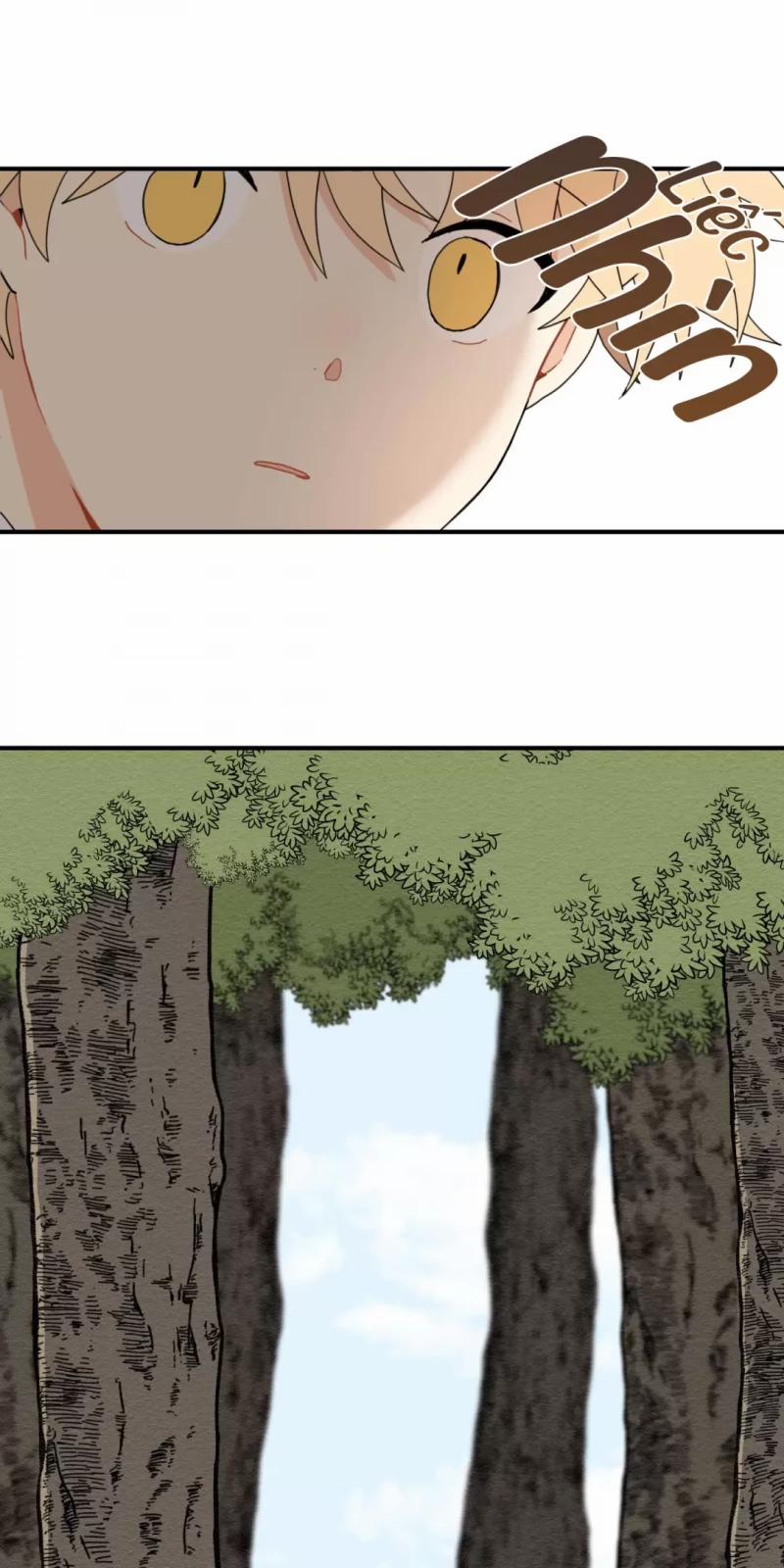 Dưới Tán Hoa Liên Kiều 5 trang 21