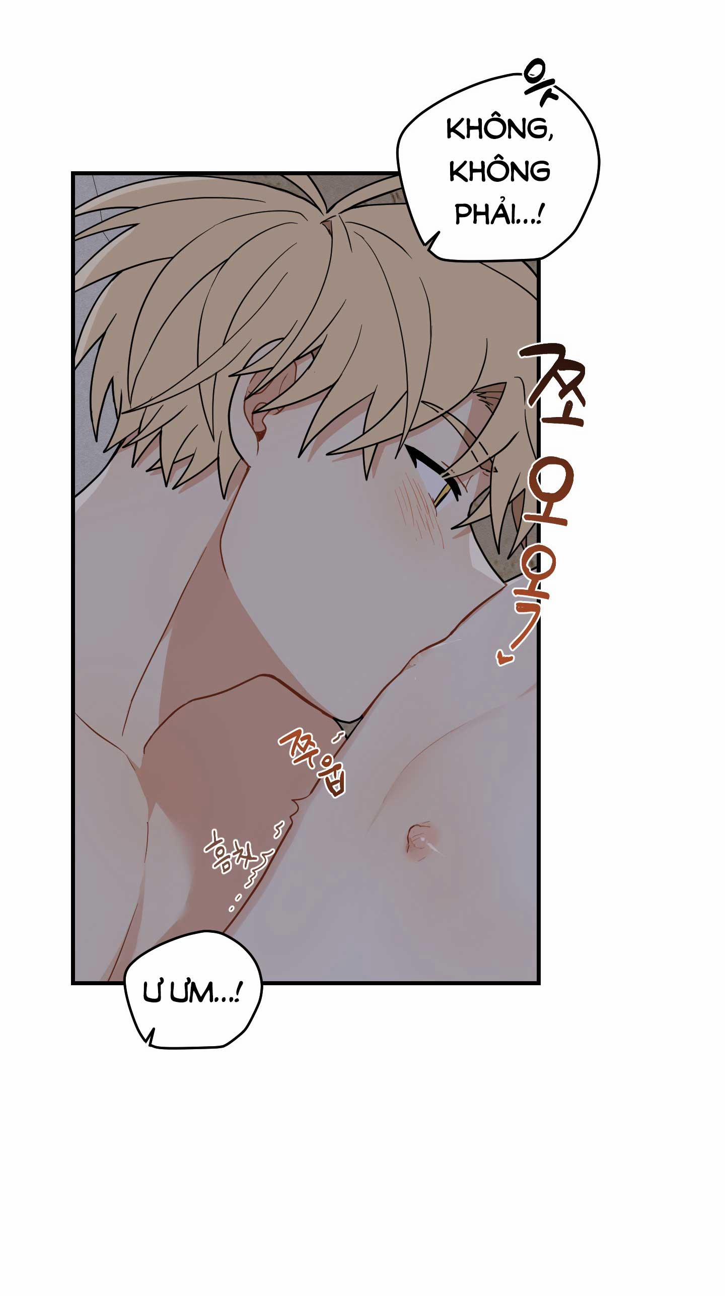 Dưới Tán Hoa Liên Kiều 51.2 trang 2