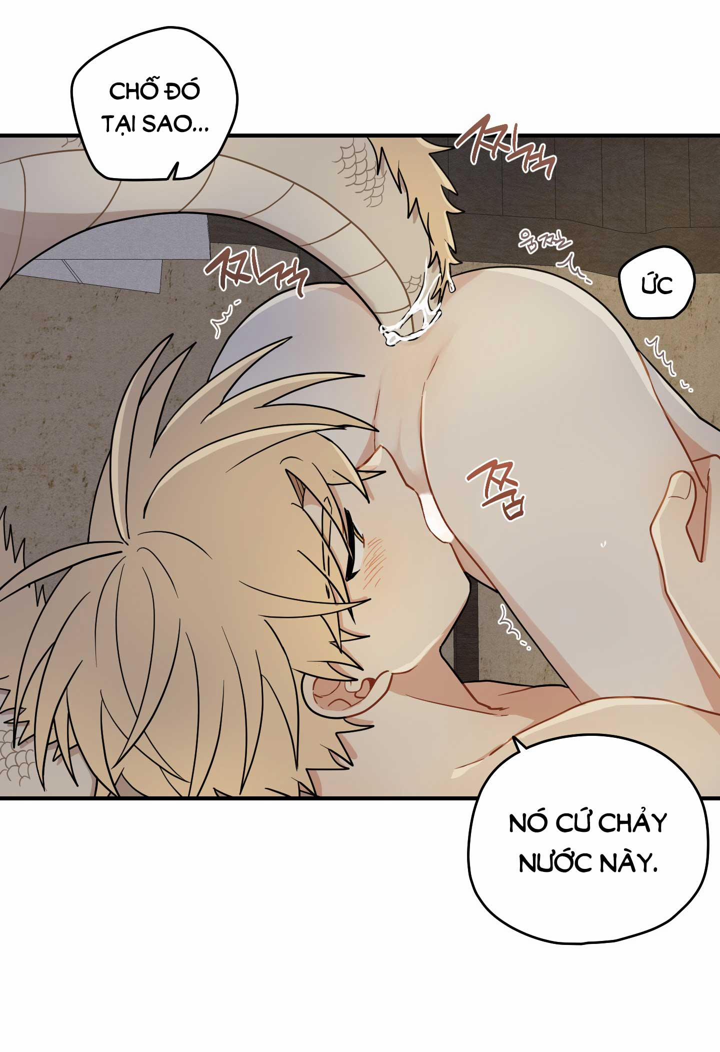 Dưới Tán Hoa Liên Kiều 52.2 trang 25