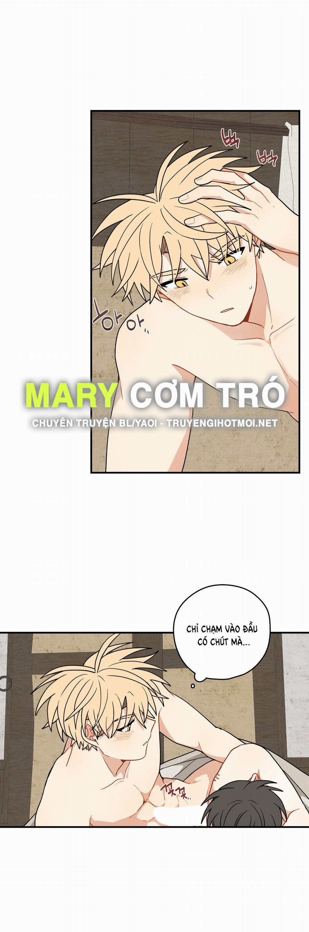 Dưới Tán Hoa Liên Kiều 53.1 trang 23