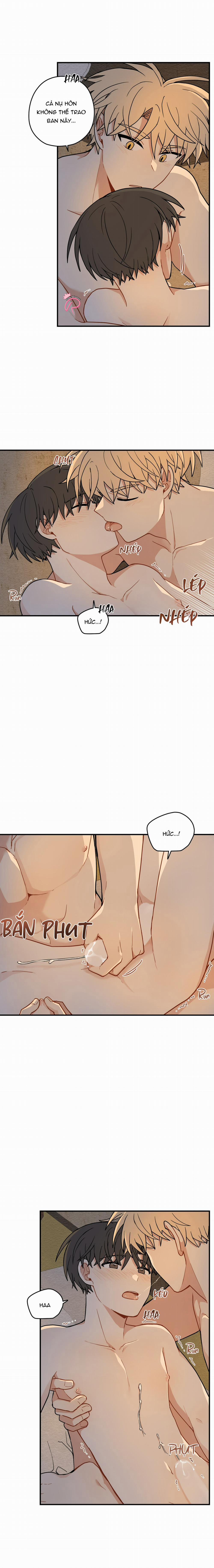 Dưới Tán Hoa Liên Kiều 59 trang 12