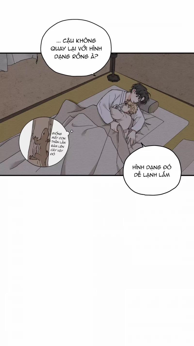 Dưới Tán Hoa Liên Kiều 6.5 trang 14