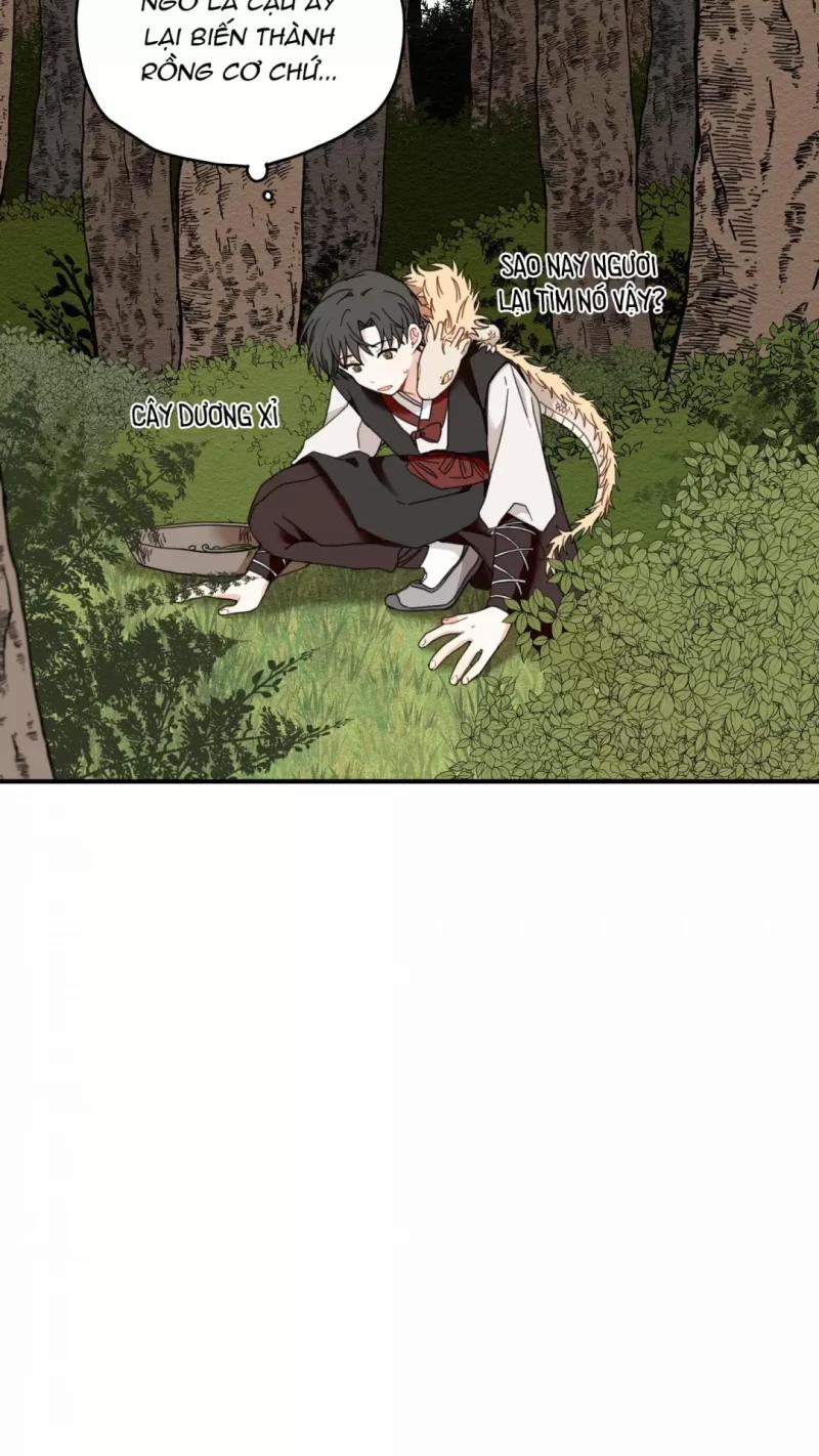 Dưới Tán Hoa Liên Kiều 6.5 trang 27