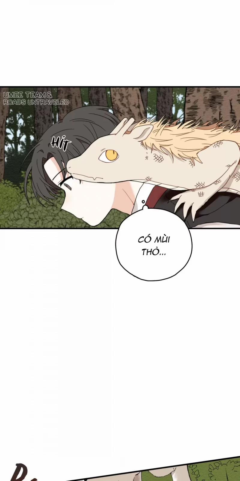 Dưới Tán Hoa Liên Kiều 6.5 trang 28