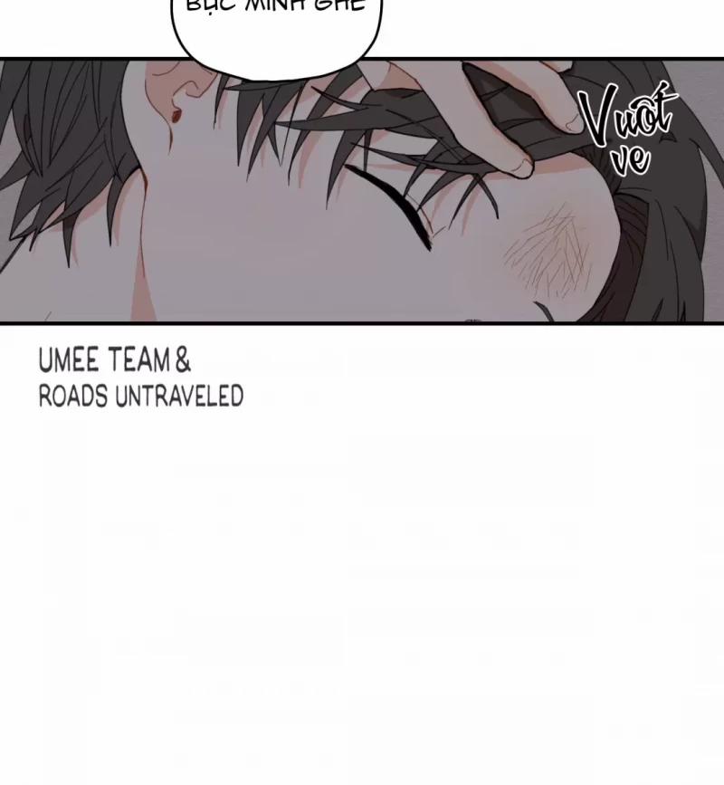 Dưới Tán Hoa Liên Kiều 6 trang 21