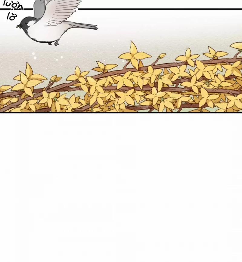 Dưới Tán Hoa Liên Kiều 6 trang 30