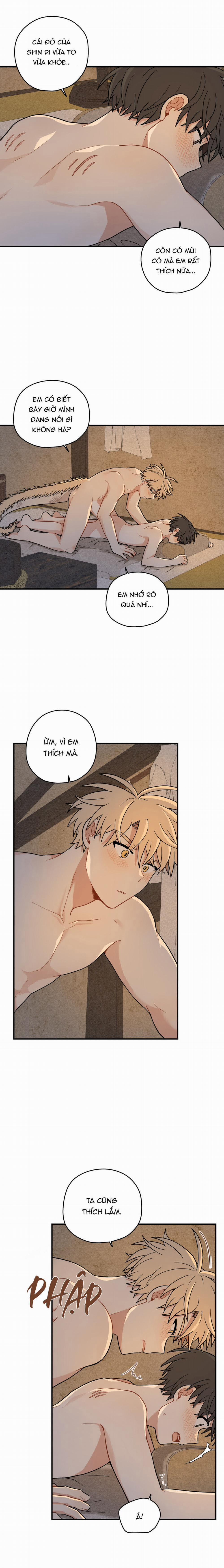 Dưới Tán Hoa Liên Kiều 60 trang 11